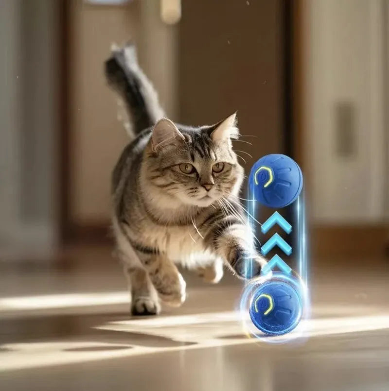 Pelota Inteligente para Mascotas
