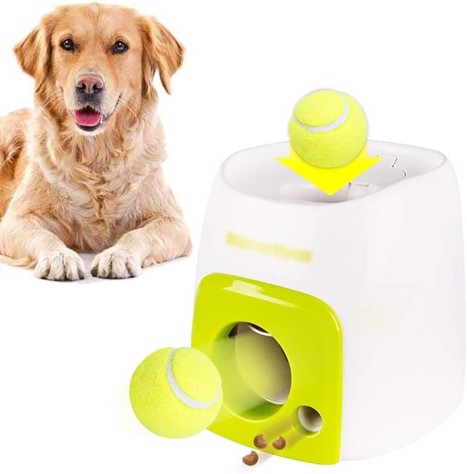 Maquina de recompensa